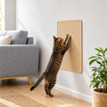 My Store natural sisal cat scratching mat adhered to a living room wall with a tabby cat scratching the surface